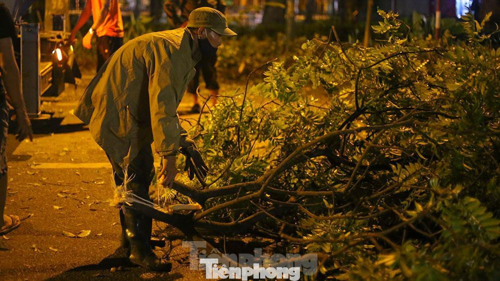 Phía sau công viên Lê Nin, một cây cổ thụ với đường kính 1,3m bật gốc và đổ xuống..Sau khi nhận được tin báo, công nhân cây xanh đã có mặt để tiến hành cưa nhỏ.