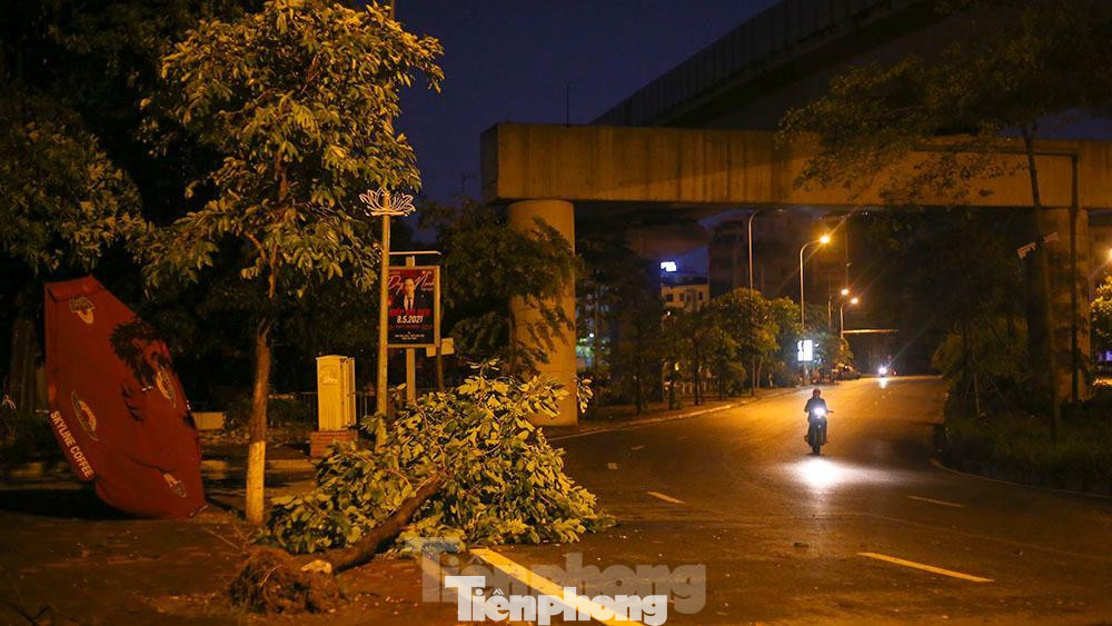 Ven hồ Hoàng Cầu (Đống Đa- Hà Nội) cây bật gốc đổ ra đường tiềm ẩn nguy hiểm cho người tham gia giao thông.