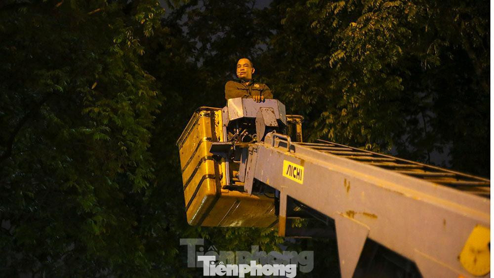 Nhiều cành cây gãy mắc lại trên cao, công nhân dùng máy cẩu để tiếp cận.