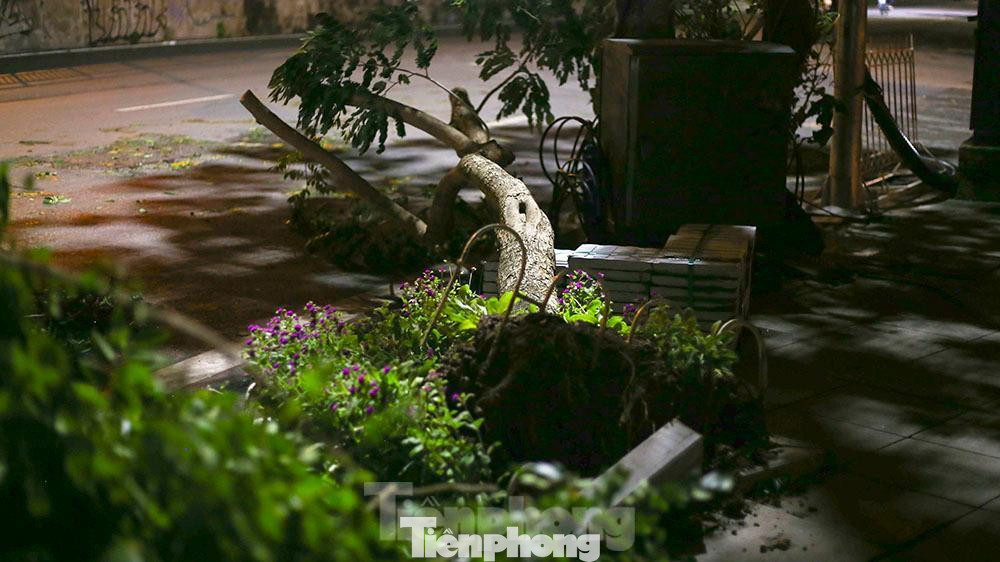 Cây xanh trên đường Hồng Hà (quận Hoàn Kiếm- Hà Nội) bị cơn mưa lớn quật tả tơi.