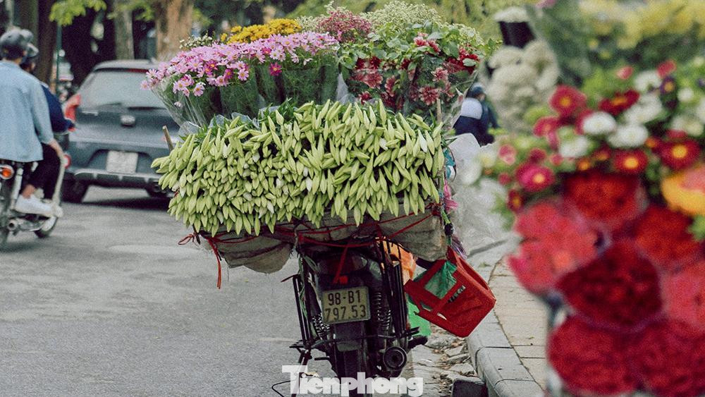 Tuy màu sắc không nổi bật như hoa hồng, hoa cúc nhưng loa kèn lại mang trong mình vẻ đẹp rất riêng Tuy màu sắc không nổi bật như hoa hồng, hoa cúc nhưng loa kèn lại mang trong mình vẻ đẹp rất riêng