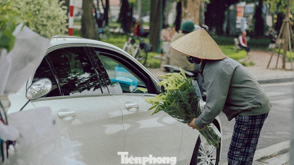 Nhiều chiếc xe đi qua cũng phải dừng lại vì sự thu hút đến từ sắc trắng tinh khôi của loa kèn Nhiều chiếc xe đi qua cũng phải dừng lại vì sự thu hút đến từ sắc trắng tinh khôi của loa kèn