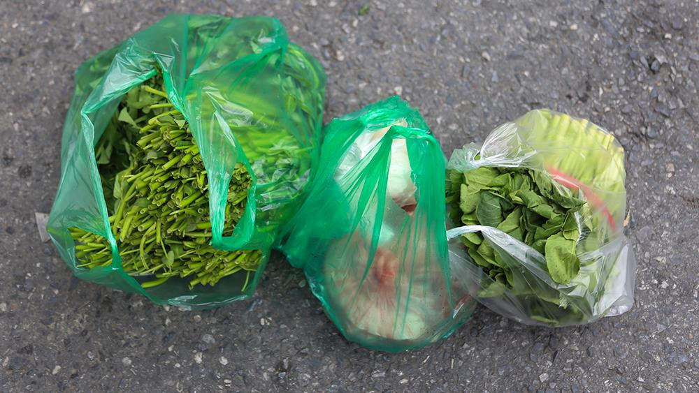 Thực phẩm thiết yếu được chuyển vào bên trong khu cách ly.