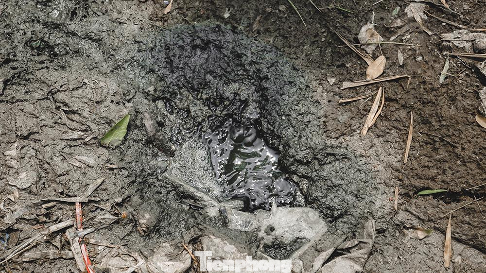 Càng đi sâu xuống khúc sông bên dưới cụm công nghiệp Phú Lâm, mùi hôi càng đậm đặc. Sát mép nước, nhiều loài cá, cua chết vì nước sông ô nhiễm những ngày qua dạt vào bờ, bắt đầu phân hủy, thối rữa