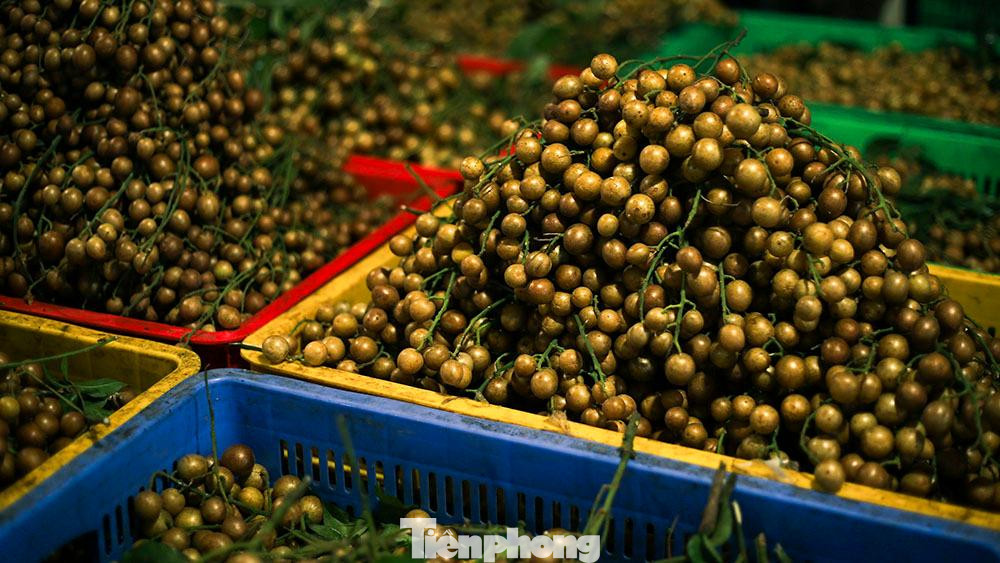 Có lẽ vì công dụng hữu ích mà hồng bì đem lại nên mỗi dịp hè về, thứ quả này luôn cháy hàng đầu tiên tại chợ Long Biên.