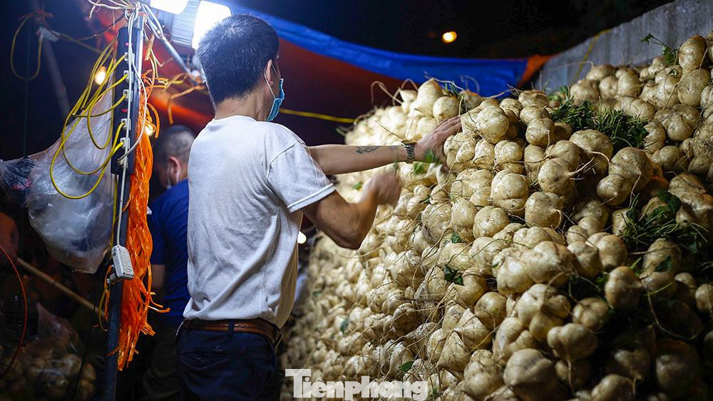 Củ đậu sau khi lấy về được các chủ sạp xếp ngay ngắn, đợi tiểu thương qua mua.
