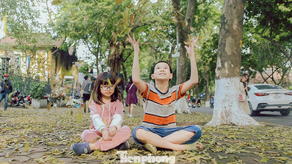 Nhiều trẻ em còn thích thú, chơi đùa trên những thảm lá van Nhiều trẻ em còn thích thú, chơi đùa trên những thảm lá van