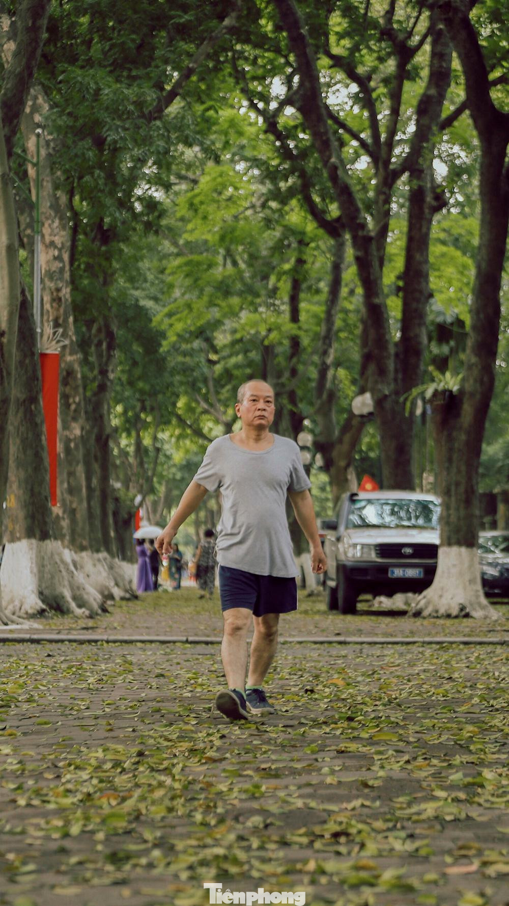 Những cây sấu già, những chiếc lá thả mình trong gió, những bước chân trên thảm lá vàng tạo nên một âm thanh xào xạc… hình ảnh đó đã trở thành một thứ rất đỗi thân quen của người dân Hà thành Những cây sấu già, những chiếc lá thả mình trong gió, những bước chân trên thảm lá vàng tạo nên một âm thanh xào xạc… hình ảnh đó đã trở thành một thứ rất đỗi thân quen của người dân Hà thành