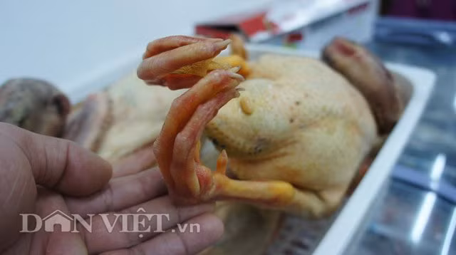 Ông Đoàn Văn Vươn tiếp thị vịt sạch ở Hà Nội ảnh 1