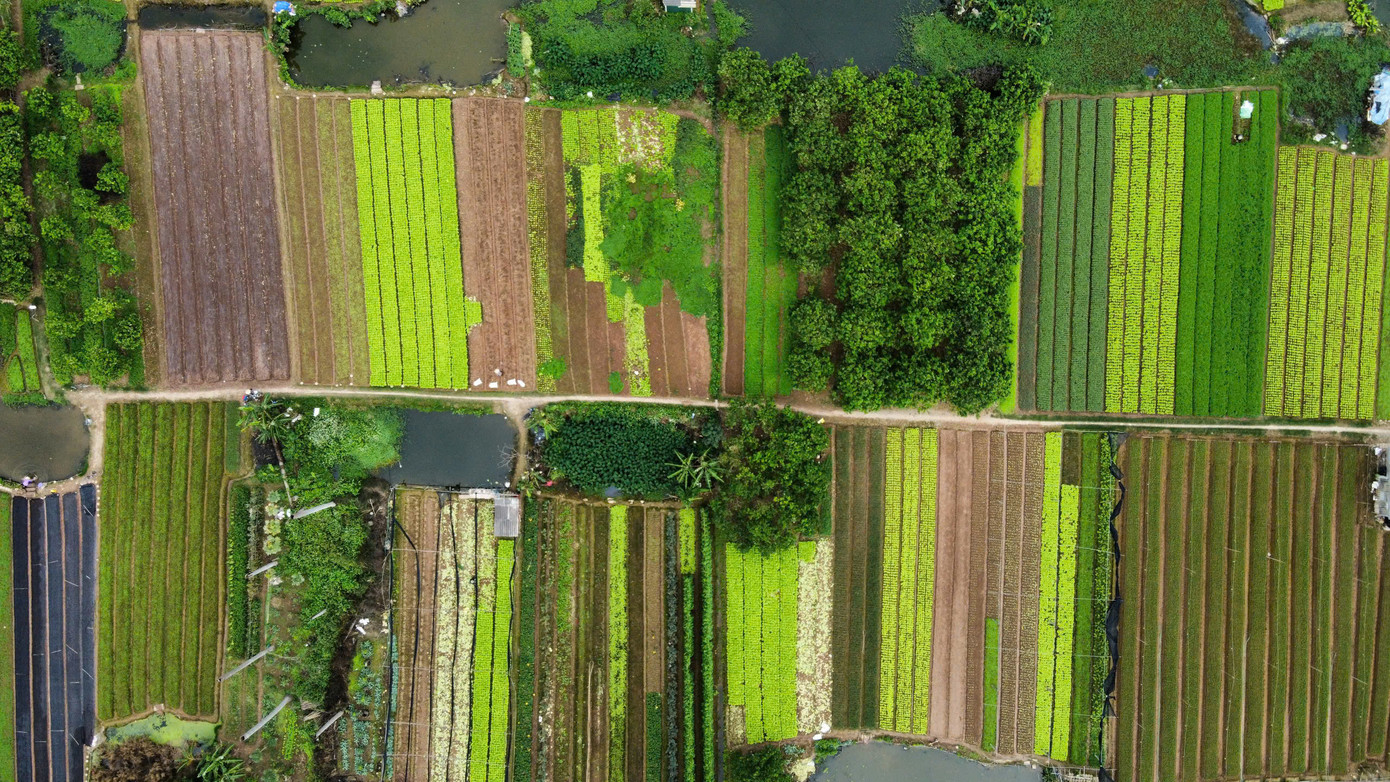 Tại buổi làm việc về tiến độ triển khai dự án mới đây, Chủ tịch UBND TP Hà Nội Trần Sỹ Thanh lưu ý, đây là dự án chậm triển khai trong thời gian dài. Do đó, việc tháo gỡ vướng mắc, đẩy nhanh tiến độ của dự án là yêu cầu cấp bách.