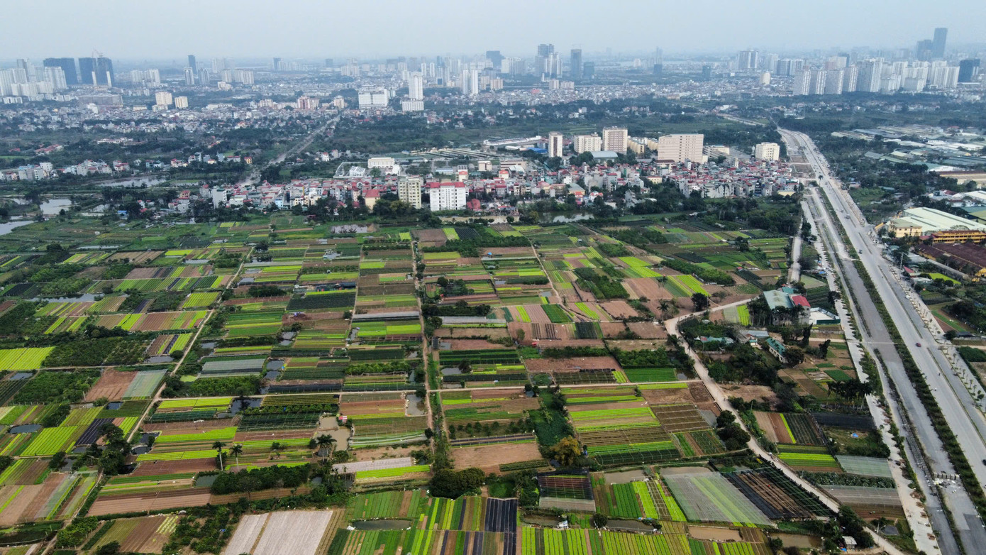 Chính phủ gia hạn thời hạn nộp tiền thuê đất đối với 50% số tiền thuê đất phát sinh phải nộp năm 2025.