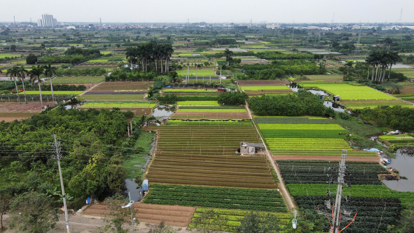 Theo ghi nhận của PV ngày 8/3, các hạng mục dự án KCNC sinh học Hà Nội vẫn chưa được triển khai.