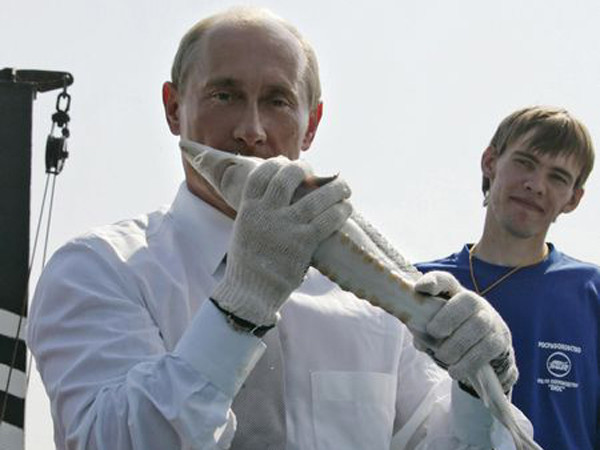 Ông Putin hôn một con cá tầm tại một khu ươm cá giống trên sông Volga năm 2007