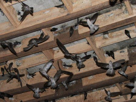 Ảnh: Internet Nguồn: