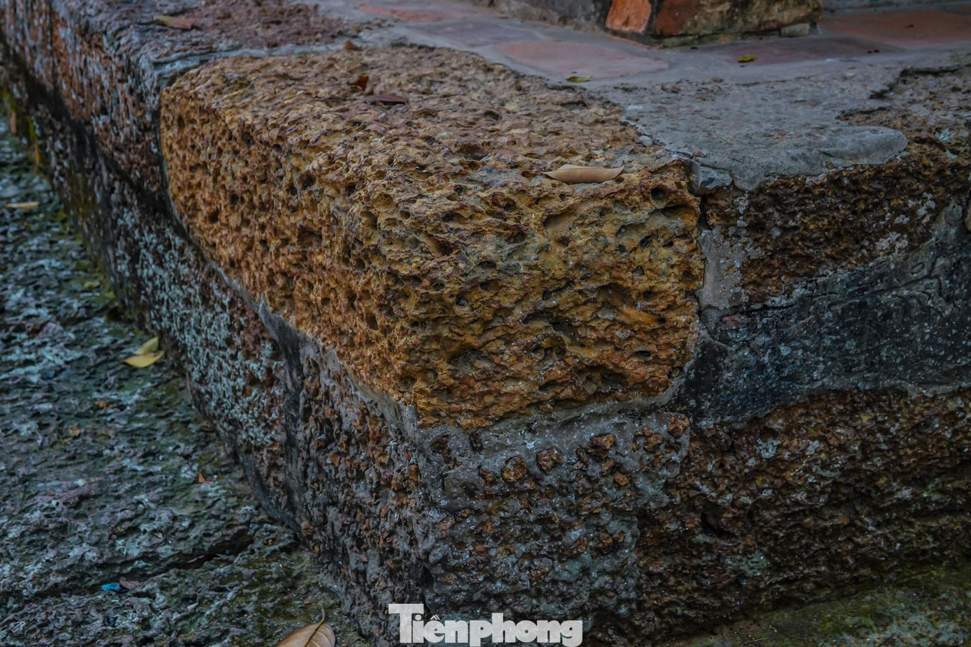 Lớp gạch đá ong phủ rêu xanh theo thời gian.