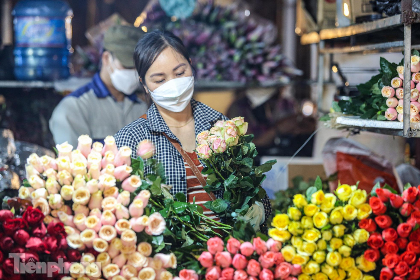 Hoa hồng vẫn là loài hoa được ưa chuộng nhất trong ngày 8/3 với đủ các loại màu sắc.
