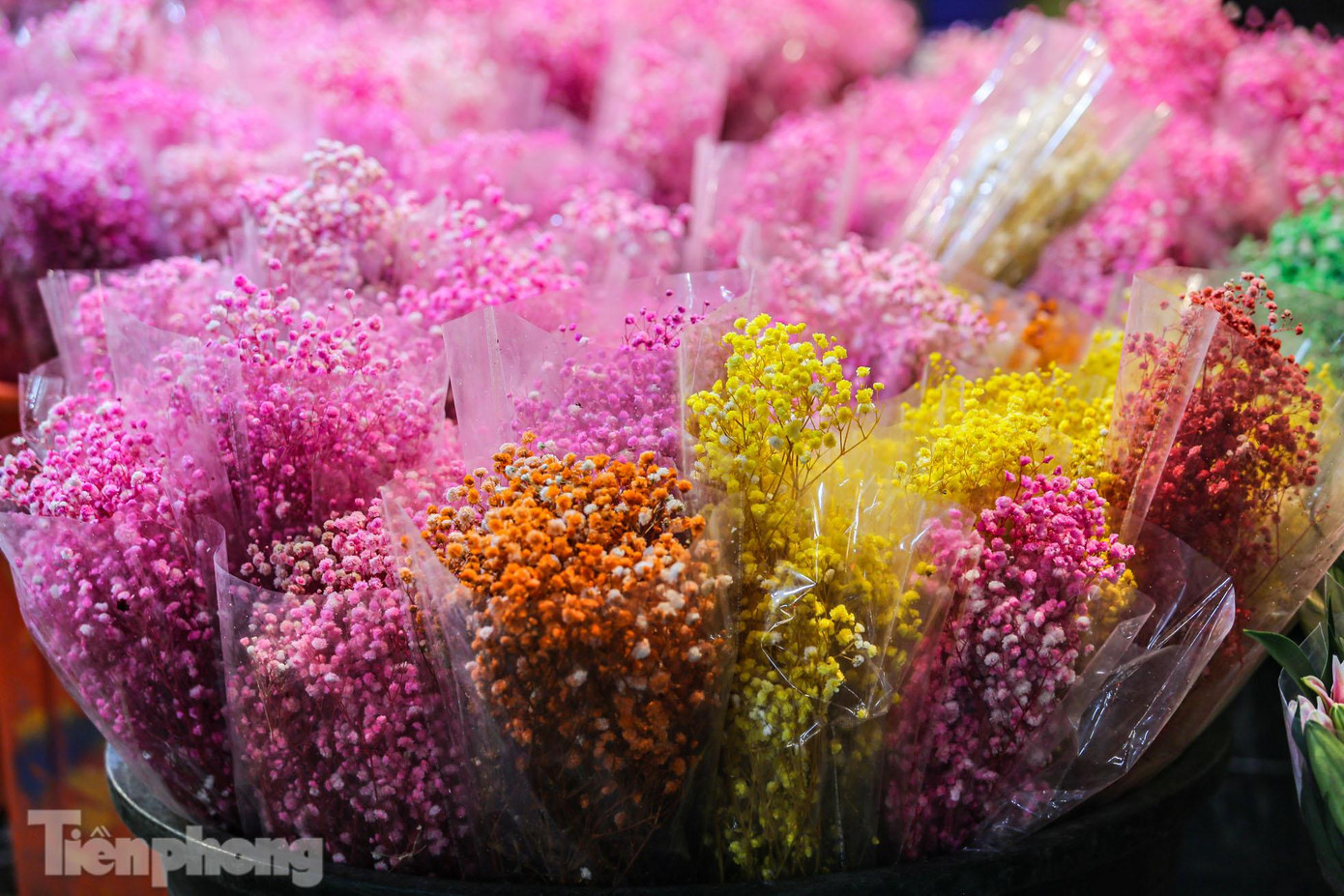 Hoa ở chợ Quảng Bá được chuyển từ nhiều vựa hoa lớn như: Tây Tựu, Gia Lâm, Phúc Yên… hoặc chuyển từ Đà Lạt, Lào Cai.