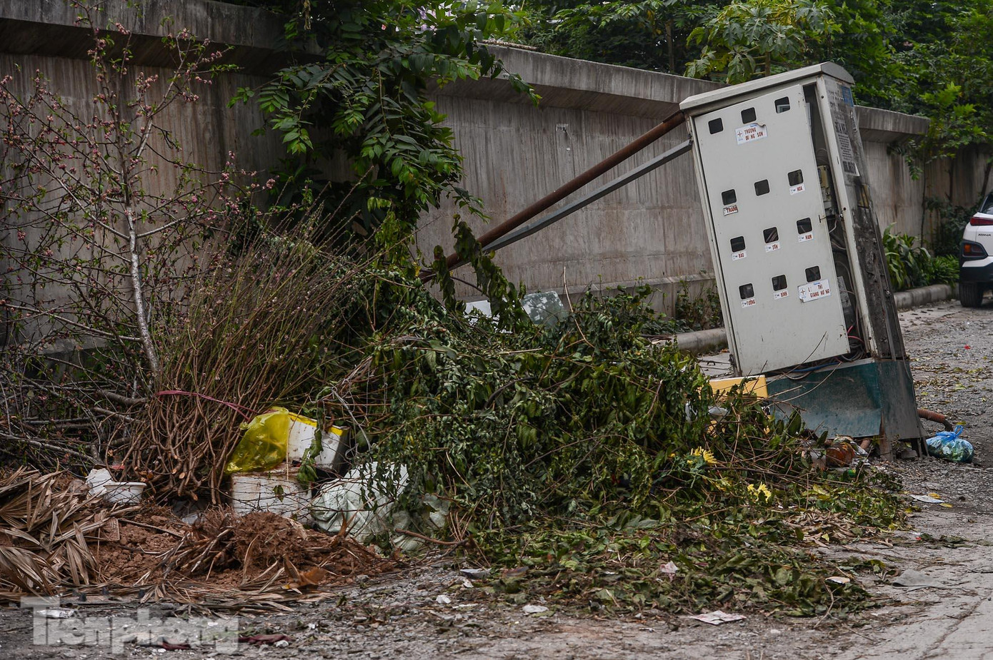 Tập kết rác tại khu vực dự án.