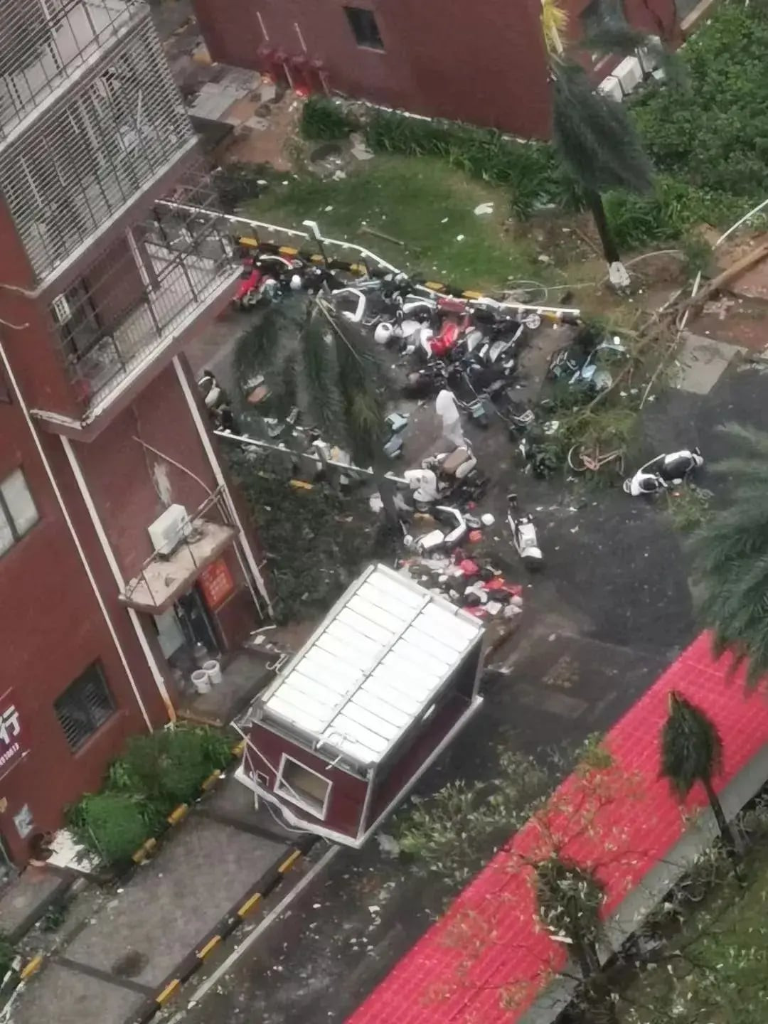 Xe cộ bị hư hại nặng nề do sức tàn phá của bão.