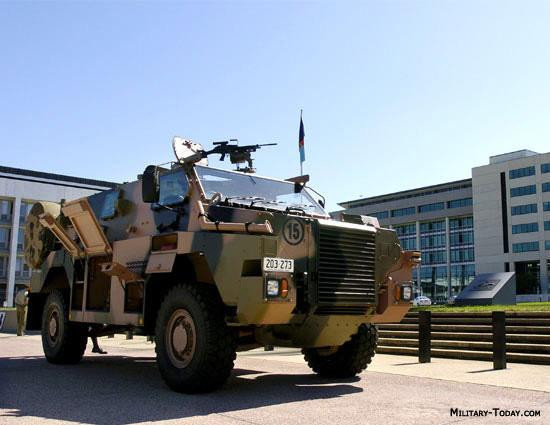 Bushmaster có thể trang súng máy hoặc súng phóng lựu. Ảnh: Military