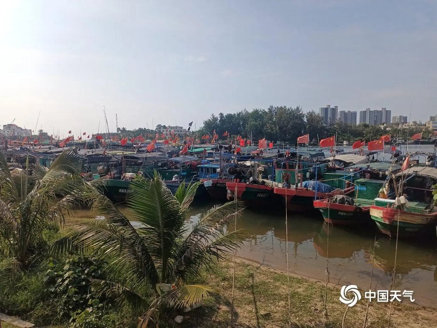 Một lượng lớn tàu cá tại neo đậu tại cảng Tanmen, Quỳnh Hải, Hải Nam ngày 4/9.