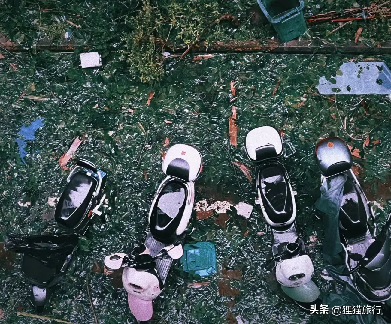 Xe cộ bị hư hại nặng nề do sức tàn phá của bão.