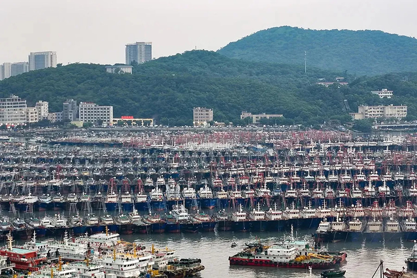 Tàu cá cập cảng ở đảo Hải Lăng, Dương Giang, Quảng Đông (Trung Quốc).