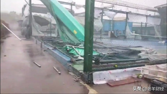 Khung cảnh tan hoang sau bão.