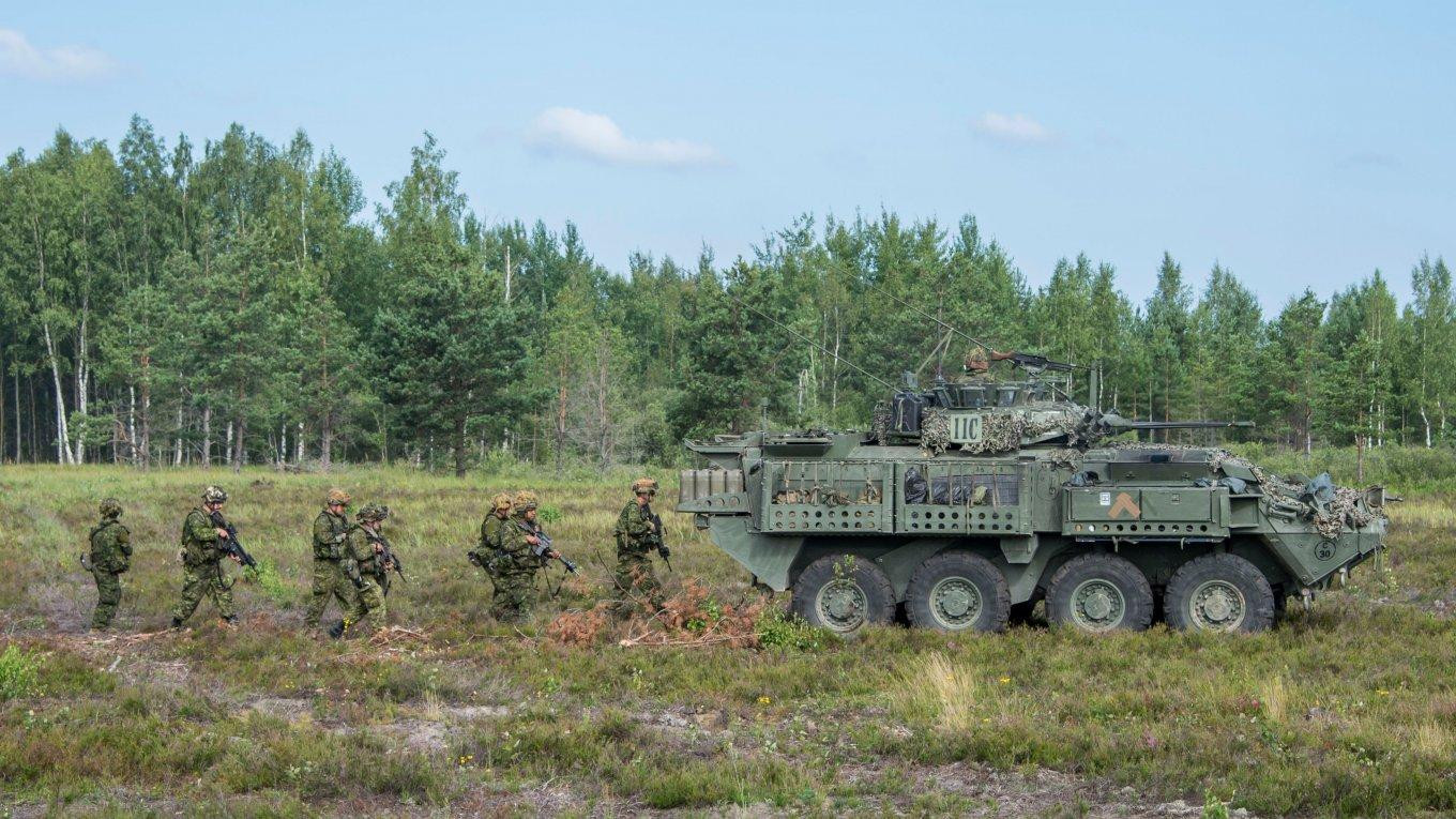 Xe có thể di chuyển trên mọi địa hình. Ảnh: Defence express