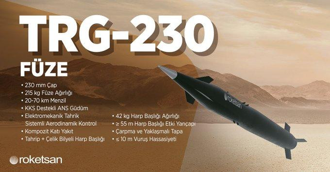 Một số thông số kỹ thuật của TRG-230. Ảnh: roketsan
