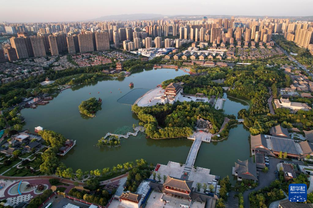 Toàn cảnh khu vườn Phù Dung Đại Đường.