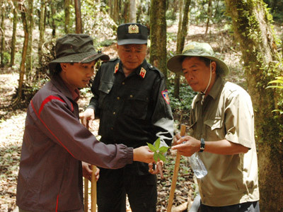 Phó Bí thư Tỉnh ủy Kon Tum ông Đào Xuân Quý và Thiếu tướng Lê Duy Hải -GĐ Công an Kon Tum xem củ sâm Ngọc Linh do doanh nghiệp trồng