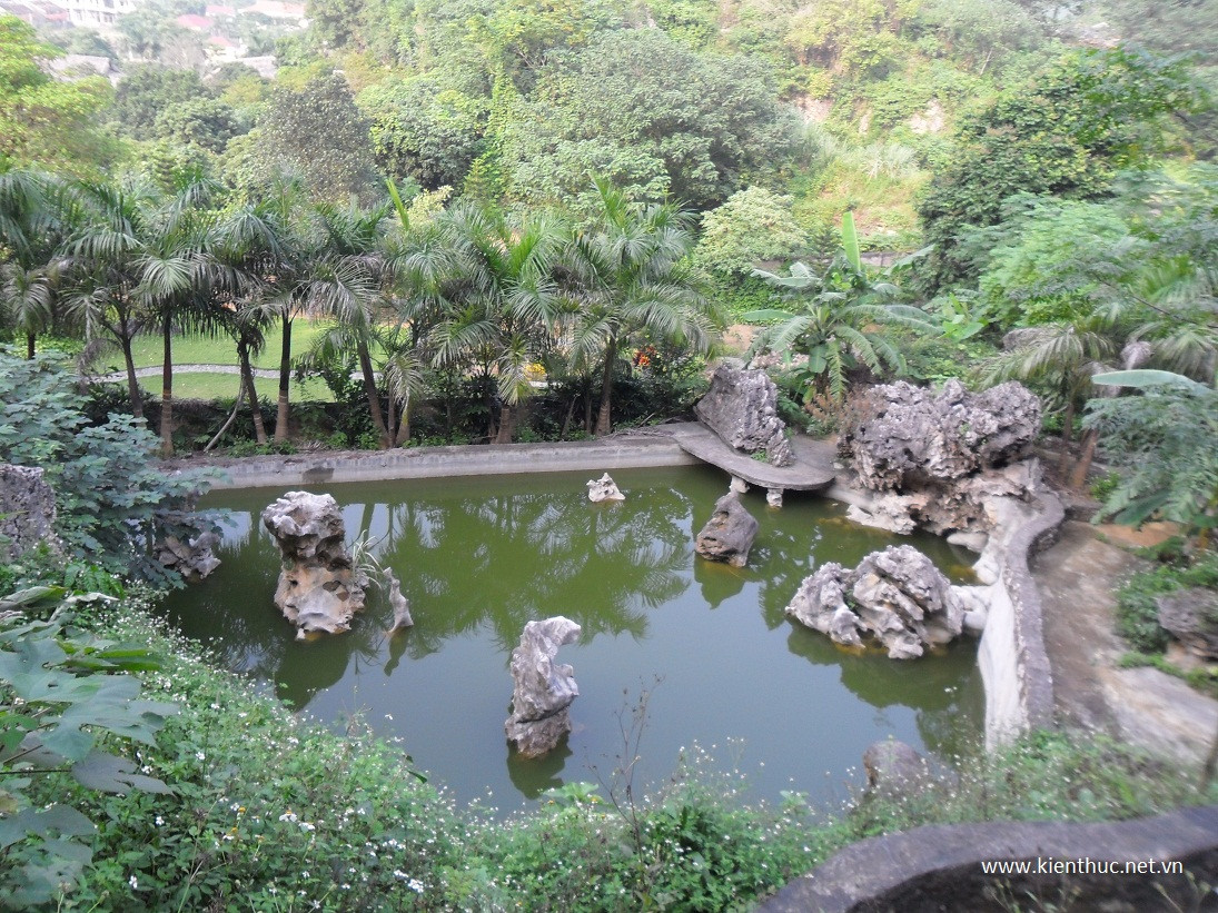 Mặt bằng sử dụng thì chỉ có 2ha, nhưng tổng diện tích đồi núi là 24,4ha