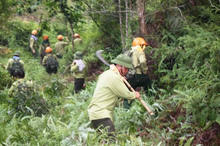 Hàng trăm người vắt kiệt sức chữa cháy cứu rừng ảnh 6