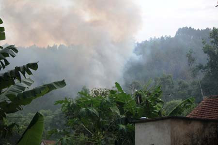 Hàng trăm người vắt kiệt sức chữa cháy cứu rừng ảnh 10