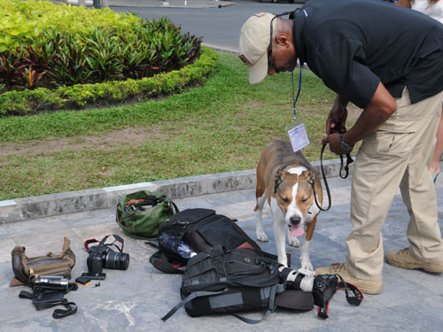 Chó nghiệp vụ kiểm tra máy móc của phóng viên