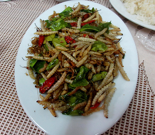 Một món ăn chế biến từ côn trùng của Lào