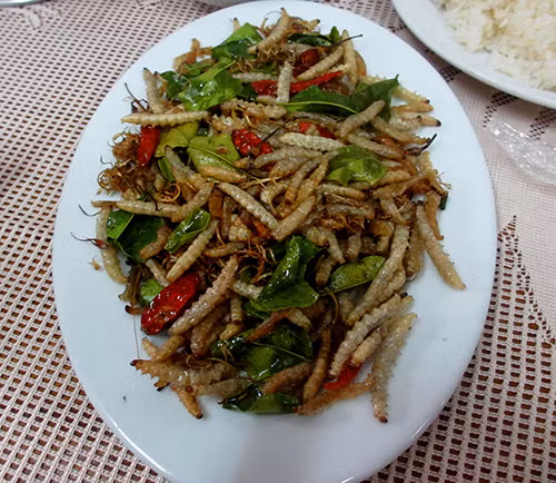 Một món ăn chế biến từ côn trùng của Lào