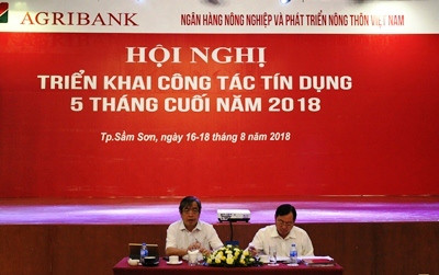 Agribank triển khai hoạt động tín dụng trọng tâm 05 tháng cuối 2018 ảnh 1