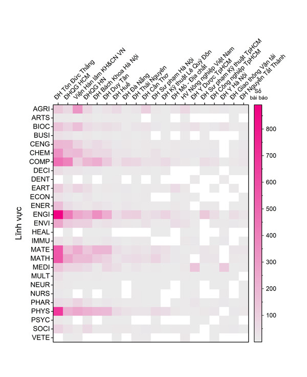 Các trường đại học VN qua công bố quốc tế: Nhìn từ dữ liệu Scopus ảnh 7