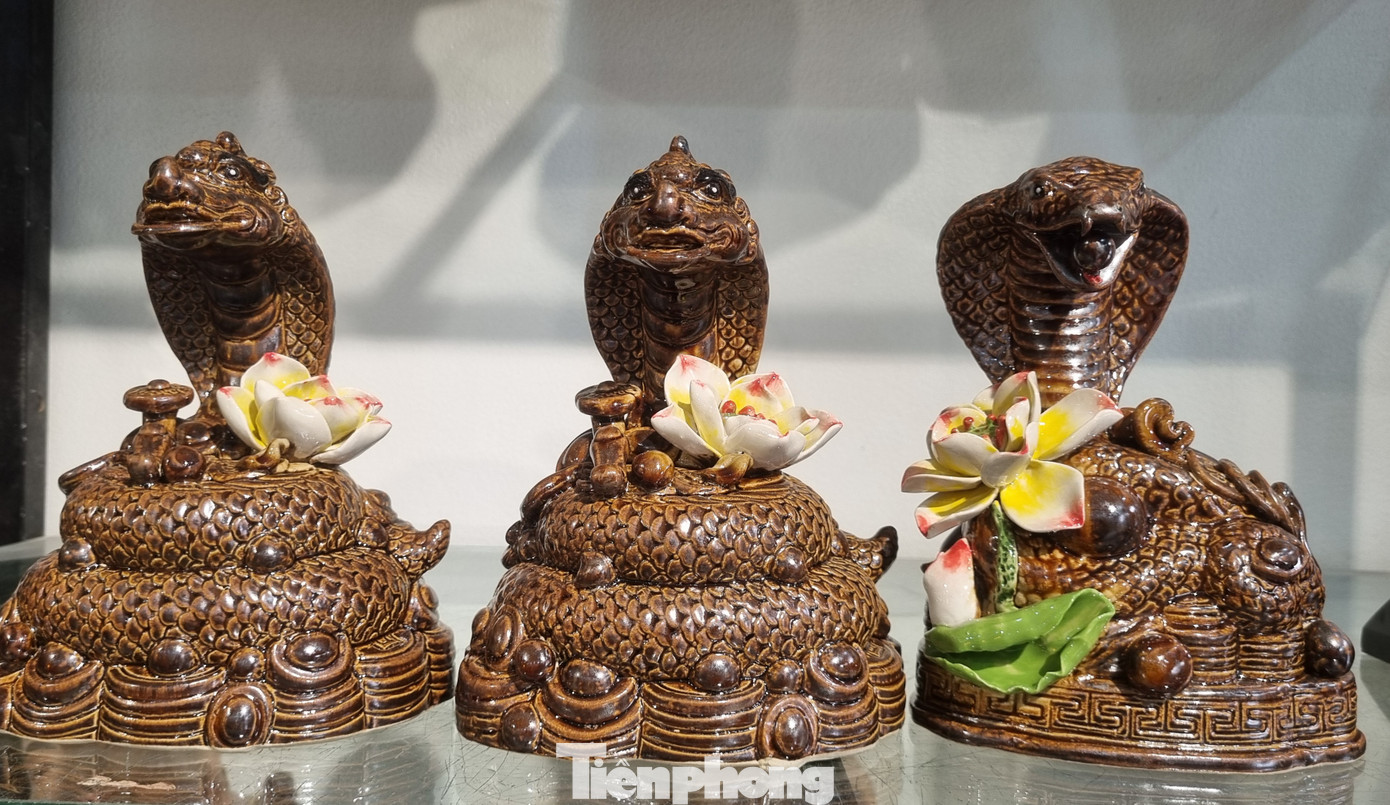 Các sản phẩm linh vật rắn được hoàn thiện.