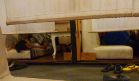 Nhiều cặp đôi vô tư diễn cảnh nóng ngay tại những quán cà phê bệt giữa ban ngày (Ảnh chụp tại Quận 5, TP.HCM)