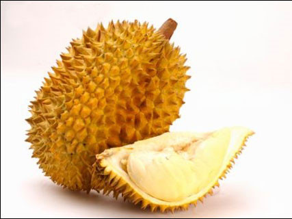 Ăn sầu riêng có lợi cho sức khỏe