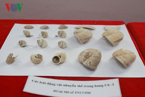 Quá trình tìm kiếm xương người tiền sử trong hang núi lửa ở Đắk Nông ảnh 4