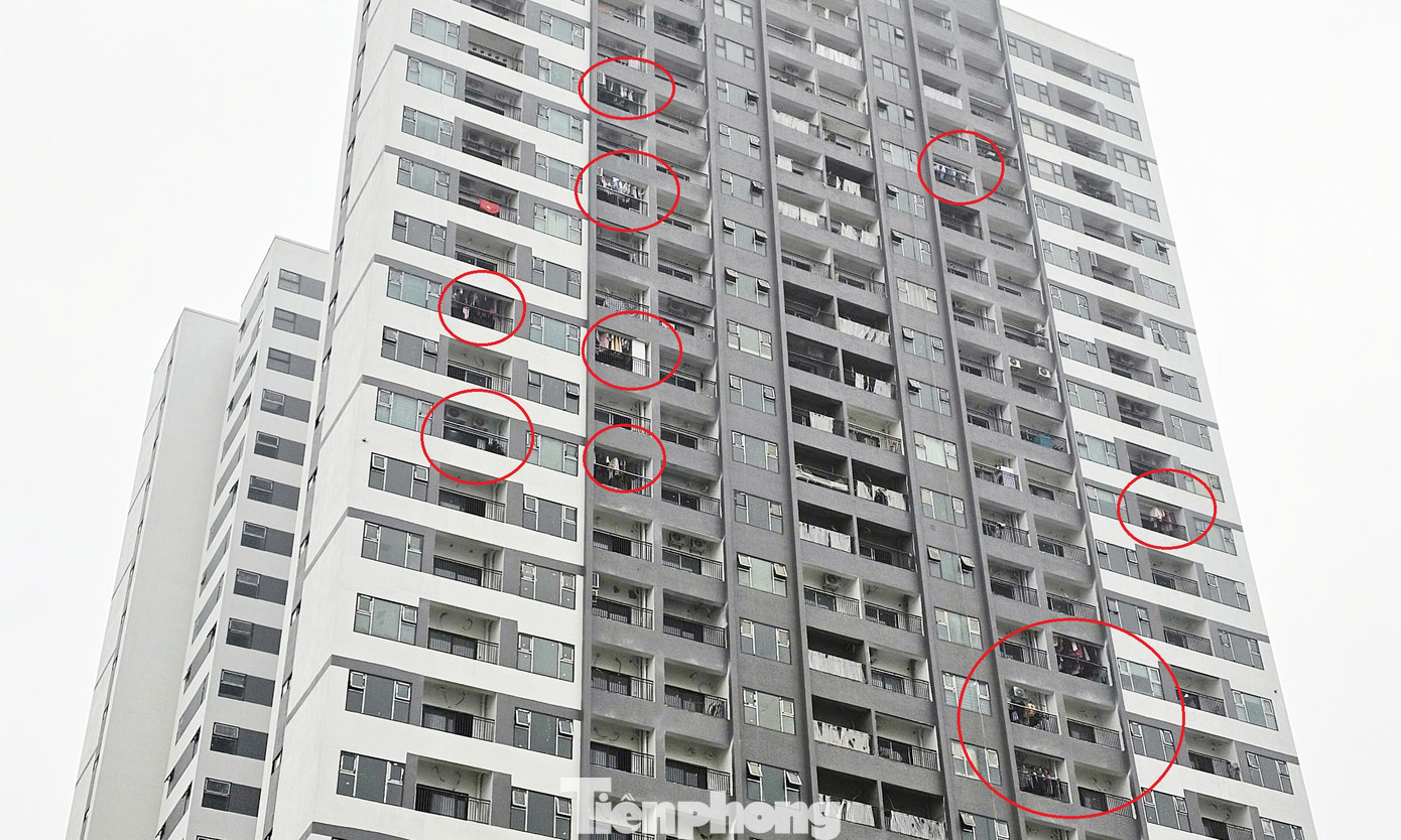 Nhiều căn hộ tại dự án Athena Complex Pháp Vân có dấu hiệu người dân đã dọn về ở (khoanh đỏ - PV), trong khi cơ quan chức năng chưa nghiệm thu chất lượng công trình đưa vào sử dụng, tiềm ẩn nguy cơ mất an toàn. Ảnh: Đình Phong.