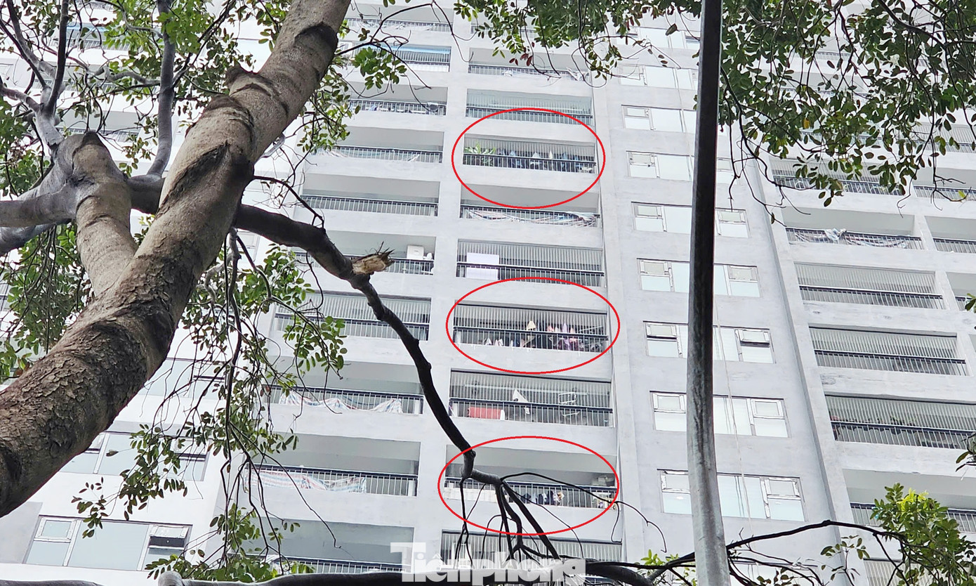 UBND phường Hoàng Liệt giao công an phường phối hợp kiểm tra hành chính, làm rõ việc người dân vào ở trong căn hộ khi chưa đủ điều kiện.