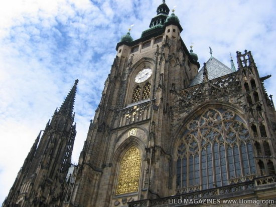 Lâu đài Malbork nổi tiếng nhất Ba Lan rộng 143.591 m2, được xây hoàn toàn bằng gạch theo phong cách kiến trúc Gôtích lớn nhất thế giới. Mehrangarh Fort rộng 81.227 m2, một pháo đài hàng nghìn năm tuổi tại Ấn Độ. Bao quanh là bức tường kiên cố có chiều dày 6m, bên trong là cung điện nguy nga với kiến trúc tinh xảo. Tại đây, bạn có thể thấy nhiều hiện vật lịch sử của những vị vua. Prague Castle rộng 66.761 m2 là lâu đài thời trung cổ lớn nhất ở châu Âu và là nơi ngự trị cổ xưa của các vị vua Séc trong suốt các thời đại. Đây là quần thể các tòa nhà, cung điện, thánh đường lộng lẫy và được xem là biểu tượng của cộng hòa Séc. Windsor Castle rộng 54.835 m2, là lâu đài lớn nhất, lâu đời nhất thế giới và là niềm tự hào lịch sử nước Anh. Lâu đài Hohensalzburg rộng 54523 m2 nằm tại thành phố Salzburg, Áo. Spis Castle rông 49485 m2 là một trong những lâu đài thời Trung cổ lớn nhất ở trung tâm châu Âu, tại miền đông Slovak Buda Castle rộng 44.674 m2 là lâu đài lịch sử của các vị vua Hungary tại Budapest. Himeji Castle rộng 41.468 m2 nằm ở trung tâm của thành phố Himeji, Nhật Bản. Thành cổ Aleppo rộng 39.804 m2, được coi là niềm tự hào của sa mạc, thành cổ Aleppo là một trong những lâu đài nổi tiếng nhất trong thế giới Ả Rập.