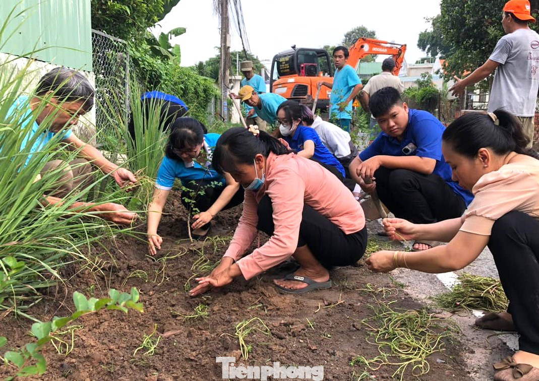 Các đơn vị trồng hoa ven đường hưởng ứng "Ngày thứ Bảy văn minh". Các đơn vị trồng hoa ven đường hưởng ứng "Ngày thứ Bảy văn minh".