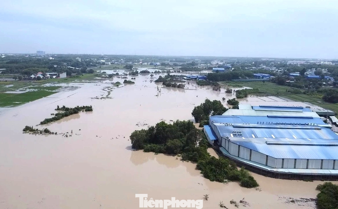 Trong năm 2024, dự án được bố trí vốn hơn 1.545 tỷ đồng, trong đó vốn ngân sách Trung ương 245,6 tỷ đồng, vốn ngân sách tỉnh 1.300 tỷ đồng. Theo kế hoạch, trong năm 2024, các gói thầu xây lắp còn lại của dự án sẽ được chủ đầu tư hoàn tất khâu lựa chọn nhà thầu và khởi công để bảo đảm tiến độ chung toàn dự án. Ảnh: Dự án sẽ chống ngập cho khu vực phía Đông Bình Dương mỗi khi có mưa