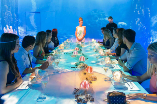 Choáng váng với 'hóa đơn' du lịch của giới siêu giàu ảnh 5